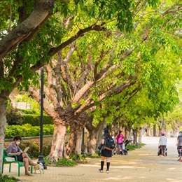 The shaded promenade is a popular destination for local and visitors to stroll, sit and relax.